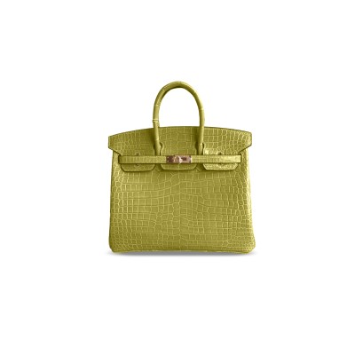 HERMÈS MASTER BIRKIN 25 CROCODILE LEATHER GOLD HARDWARE 3500481 (25*20*13cm)